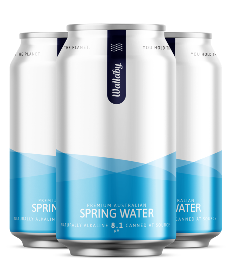 NATURALLY ALKALINE Wallaby Spring WATER Cans 24 x 375ml